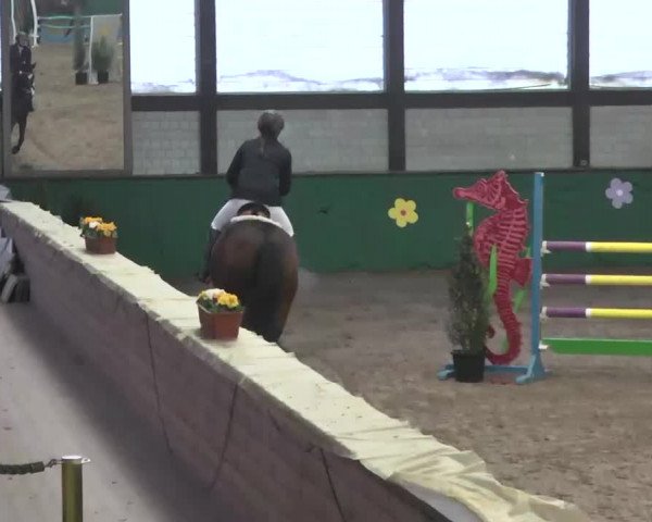 Reitturnier Heilbronn 2016