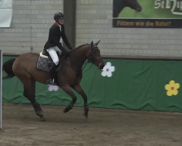 Reitturnier Heilbronn 2016