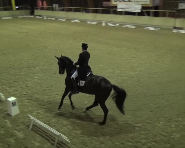 Reitturnier Heidelberg-Kirchheim 2016