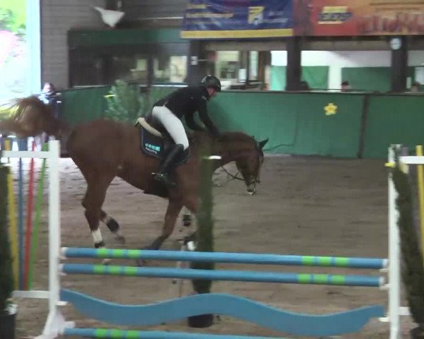 Reitturnier Heilbronn 2016