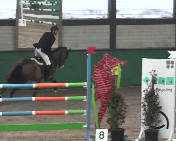 Reitturnier Heilbronn 2016