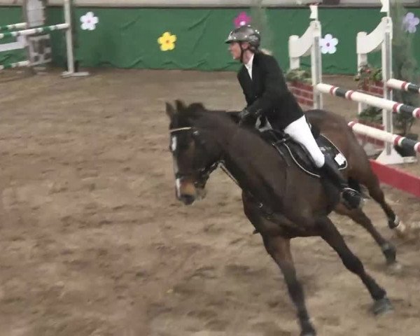 Reitturnier Heilbronn 2016