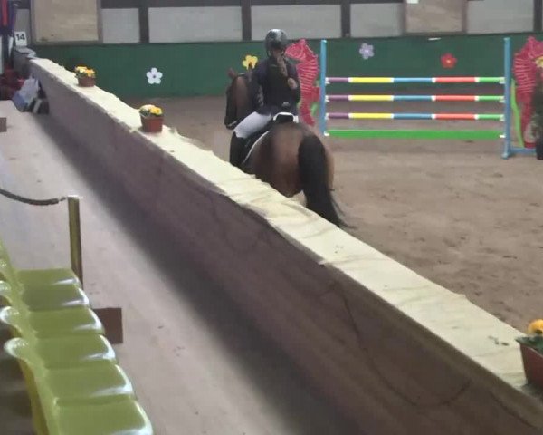 Reitturnier Heilbronn 2016