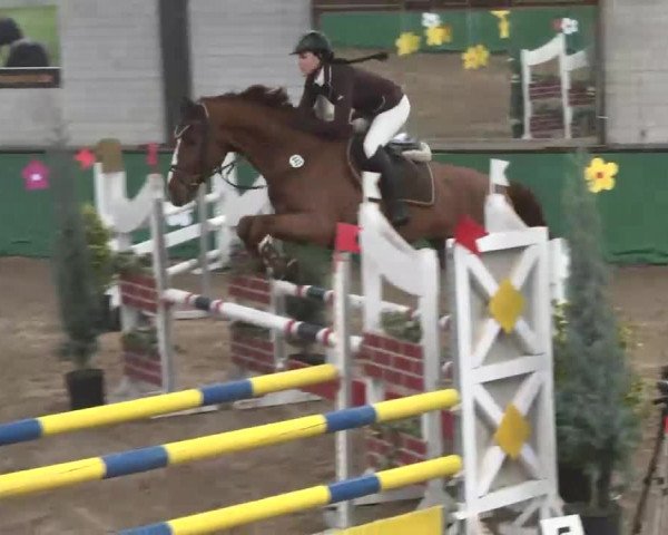 Reitturnier Heilbronn 2016