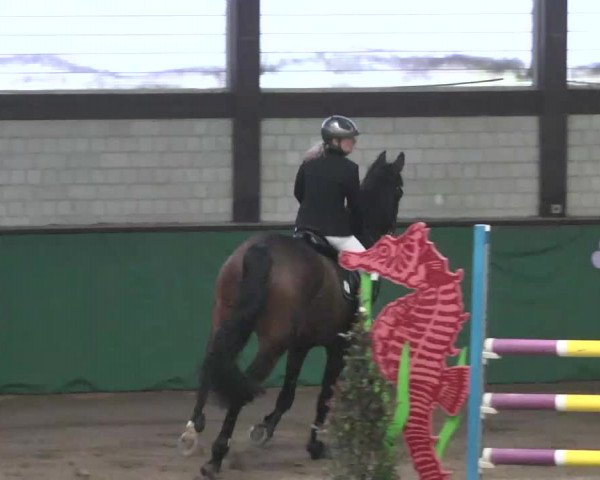Reitturnier Heilbronn 2016