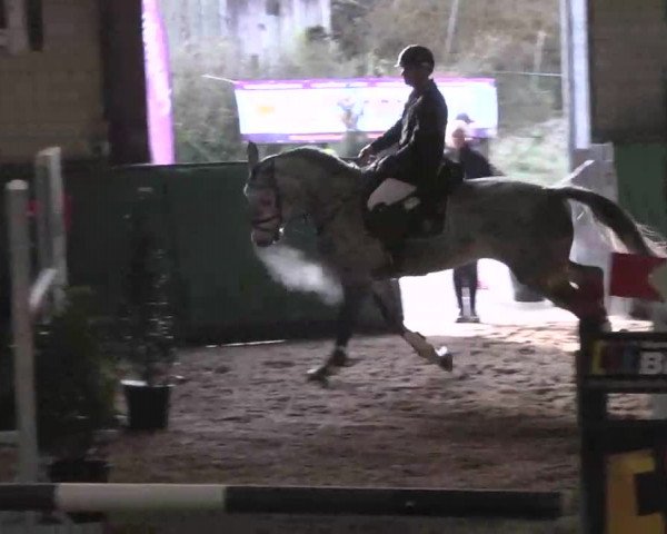 Reitturnier Heilbronn 2016