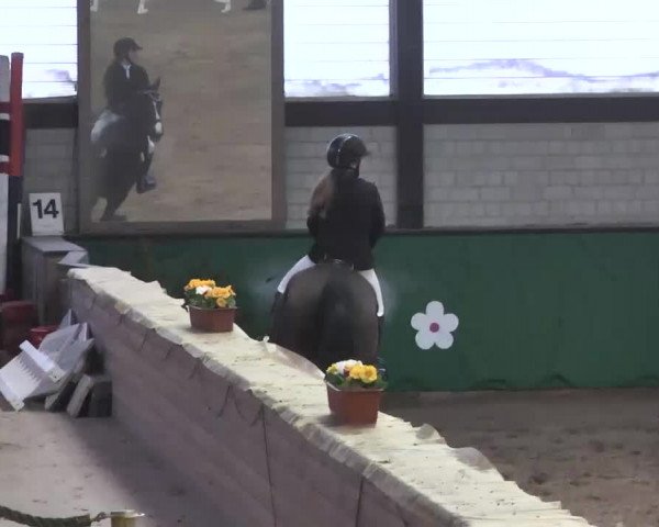 Reitturnier Heilbronn 2016
