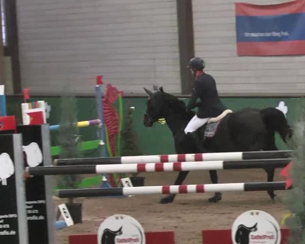 Reitturnier Heilbronn 2016