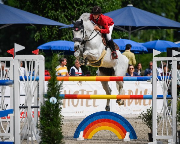 jumper Cara Come on R (Westphalian, 2006, from Cornet Obolensky)