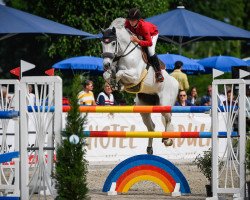 jumper Cara Come on R (Westphalian, 2006, from Cornet Obolensky)