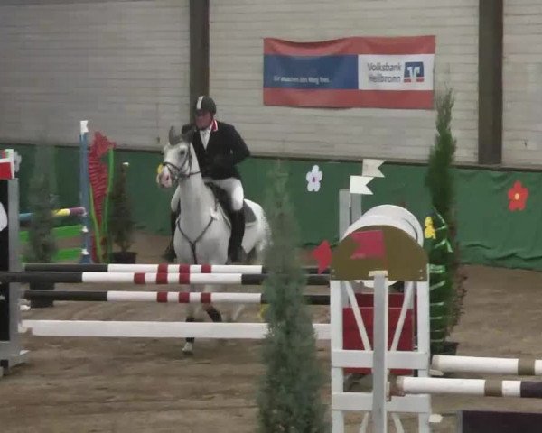 Reitturnier Heilbronn 2016