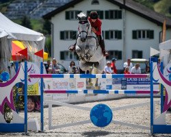 jumper Burlington V.d.m. (KWPN (Royal Dutch Sporthorse), 2006, from VDL Cardento 933)