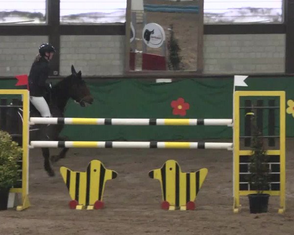 Reitturnier Heilbronn 2016