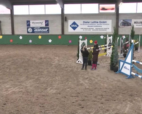 Reitturnier Heilbronn 2016