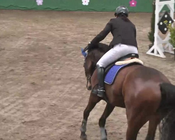 Reitturnier Heilbronn 2016