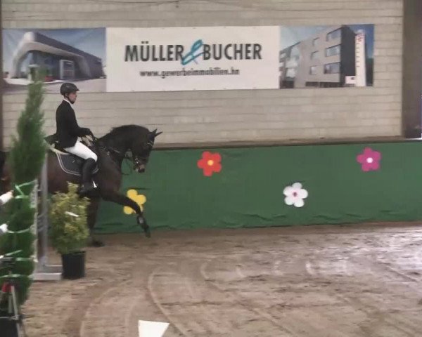 Reitturnier Heilbronn 2016