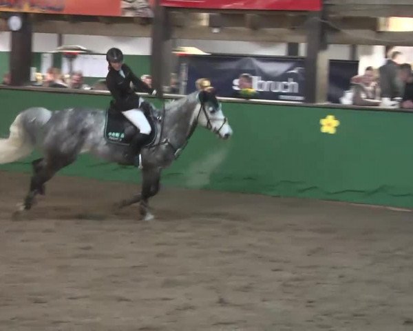 Reitturnier Heilbronn 2016