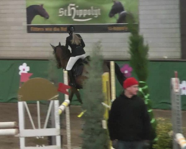 Reitturnier Heilbronn 2016