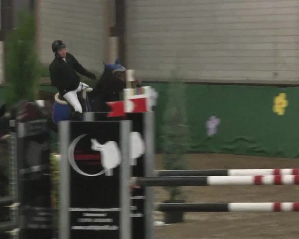 Reitturnier Heilbronn 2016