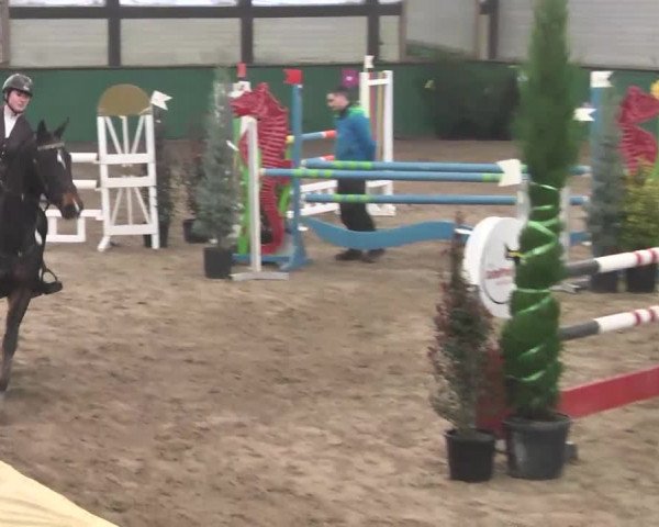 Reitturnier Heilbronn 2016