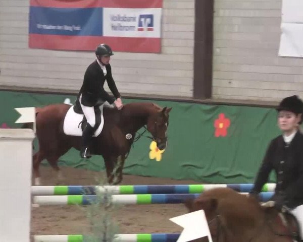 Reitturnier Heilbronn 2016