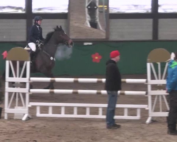 Reitturnier Heilbronn 2016