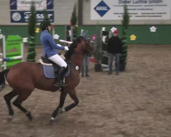 Reitturnier Heilbronn 2016
