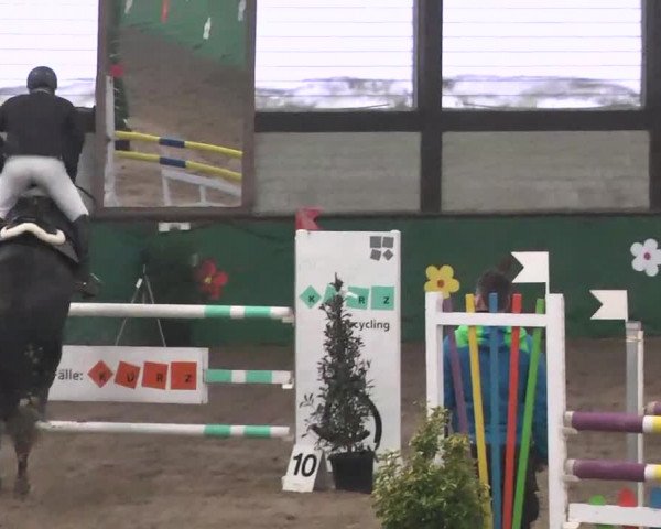 Reitturnier Heilbronn 2016