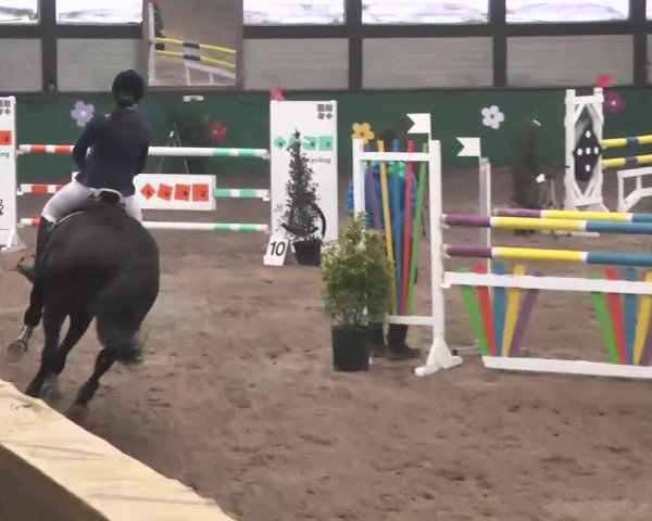 Reitturnier Heilbronn 2016