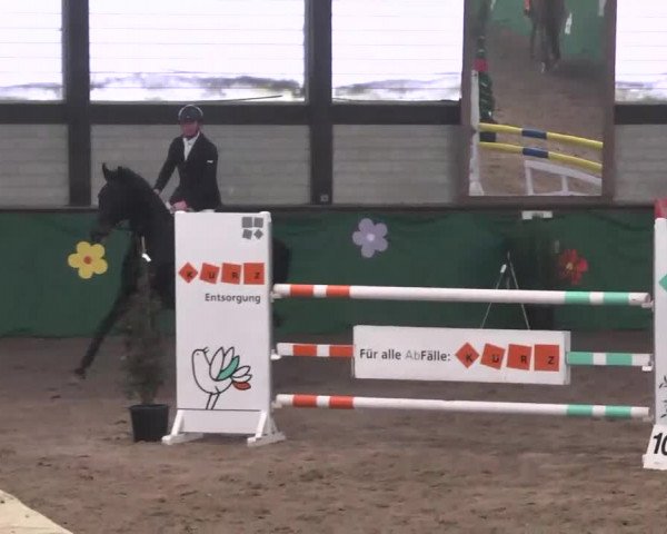 Reitturnier Heilbronn 2016