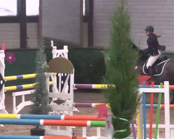 Reitturnier Heilbronn 2016
