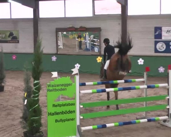 Reitturnier Heilbronn 2016
