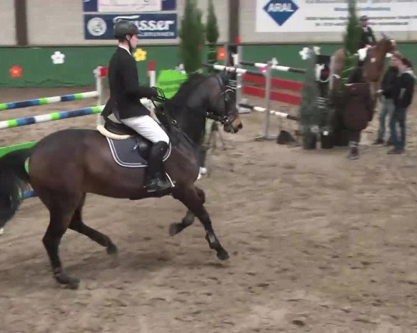 Reitturnier Heilbronn 2016
