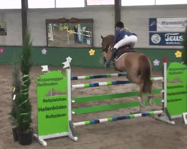 Reitturnier Heilbronn 2016