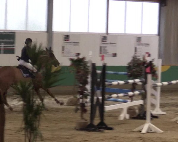 Reitturnier Warendorf-Freckenhorst 2016