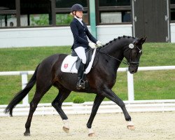 Dressurpferd Dark Fellow WAF (Hannoveraner, 2009, von Desperados FRH)
