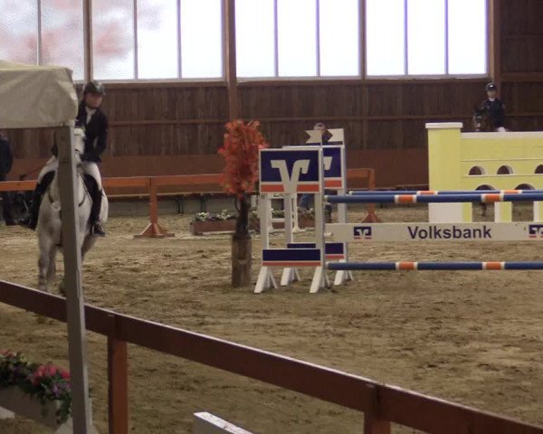 Reitturnier Warendorf-Freckenhorst 2016