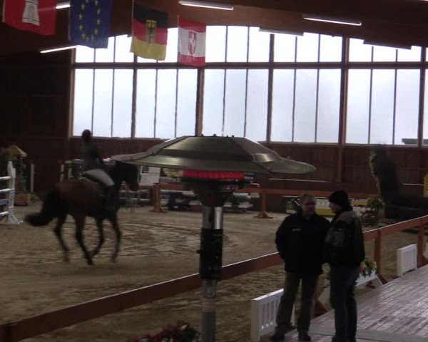 Reitturnier Warendorf-Freckenhorst 2016