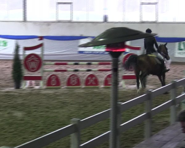 Hallenspringturnier Münster-Albachten 2016