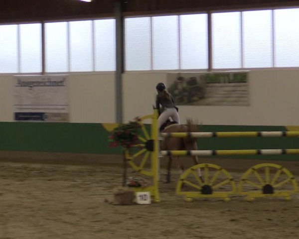 Reitturnier Warendorf-Freckenhorst 2016