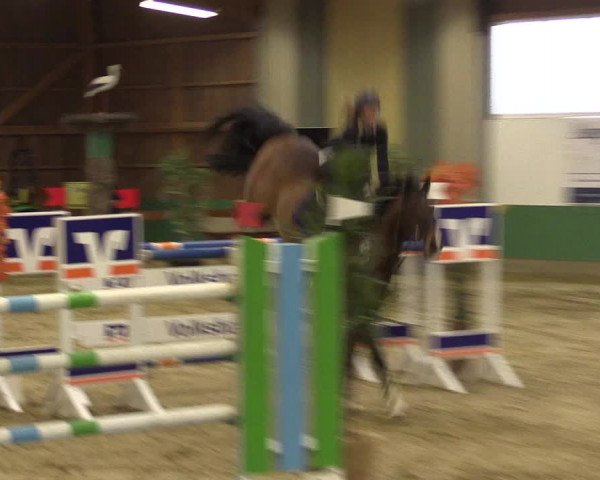Reitturnier Warendorf-Freckenhorst 2016