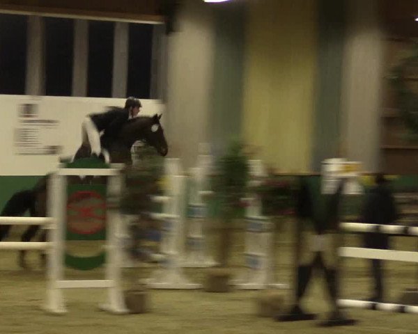 Reitturnier Warendorf-Freckenhorst 2016