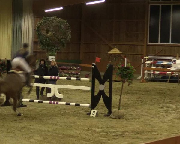 Reitturnier Warendorf-Freckenhorst 2016