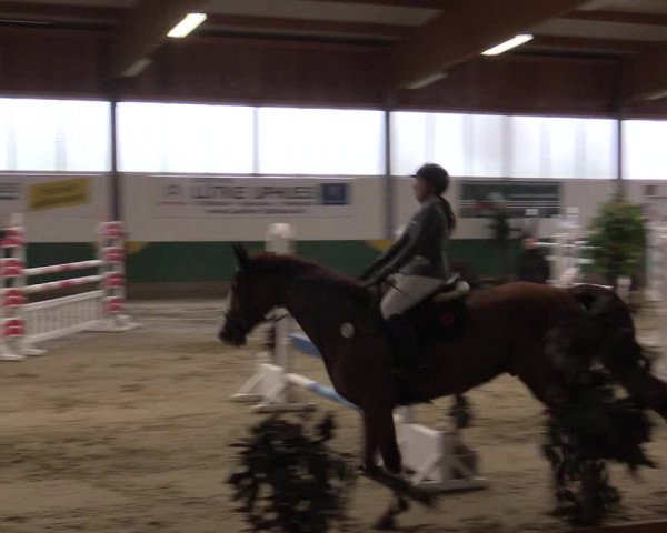 Reitturnier Warendorf-Freckenhorst 2016