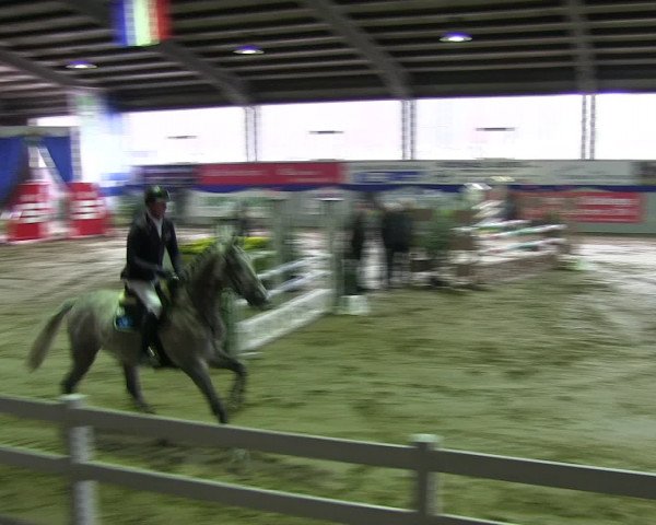 Hallenspringturnier Münster-Albachten 2016