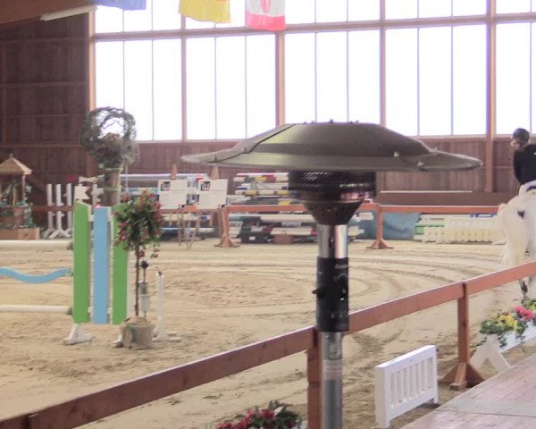 Reitturnier Warendorf-Freckenhorst 2016