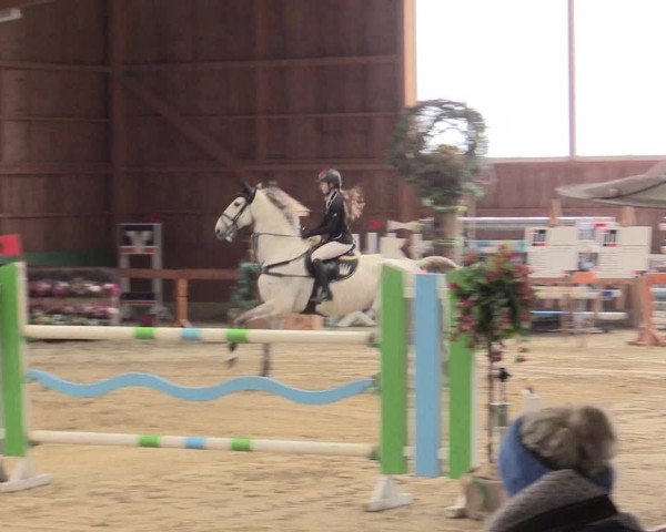 Reitturnier Warendorf-Freckenhorst 2016