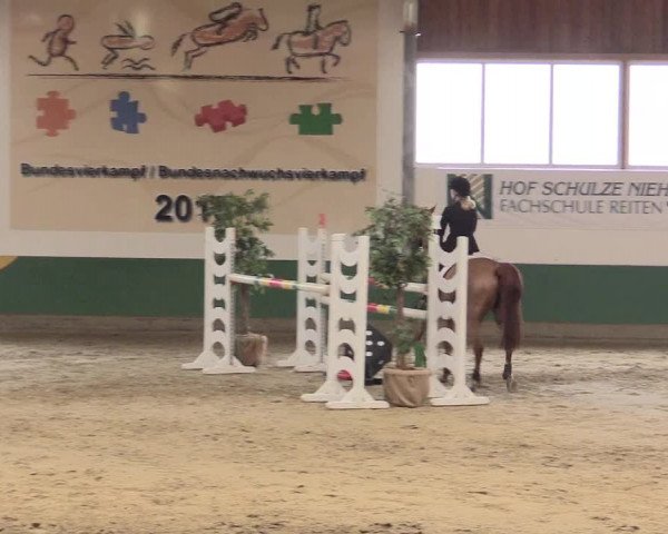 Reitturnier Warendorf-Freckenhorst 2016