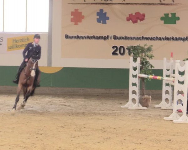 Reitturnier Warendorf-Freckenhorst 2016