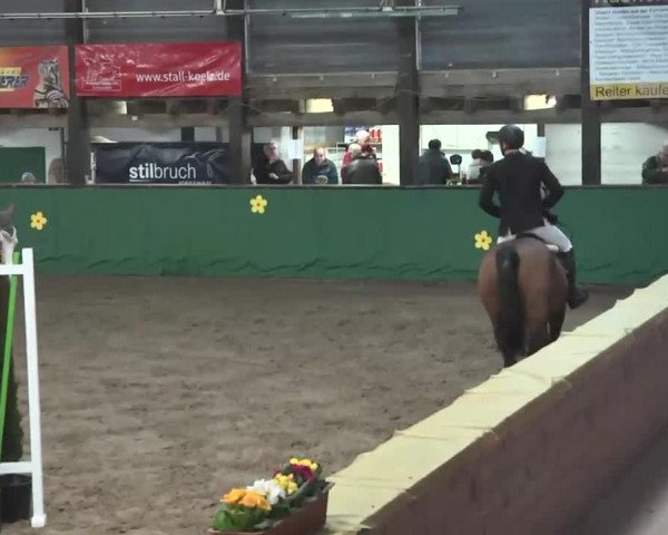 Reitturnier Heilbronn 2016